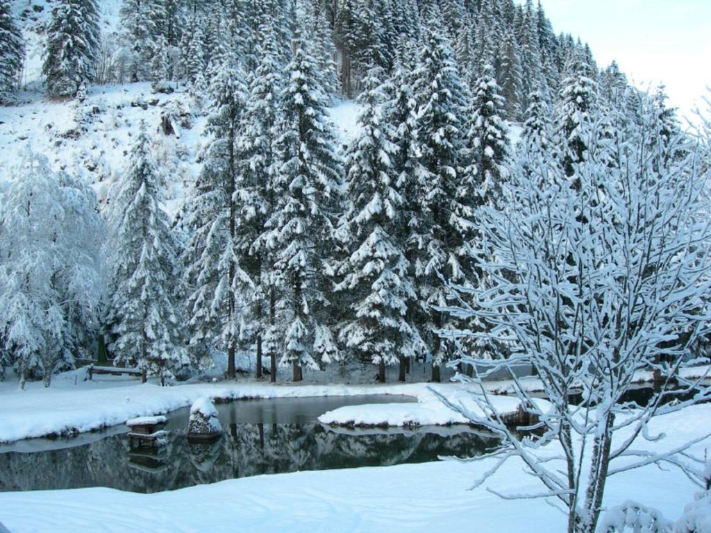 Hotel Evianquelle Bad Gastein Zewnętrze zdjęcie